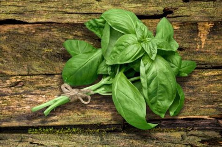 5 Herbs That Attract Good Luck, Experts Say