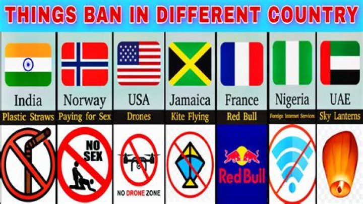 6 Celebrities Who've Been Banned From Entire Countries