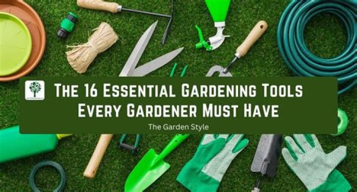 9 Essential Gardening Tools Everyone Should Have at Home