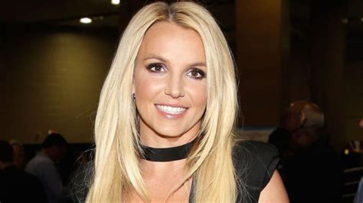 Britney Spears Granted 5-Year Restraining Order Against Ex-Manager Sam Lutfi