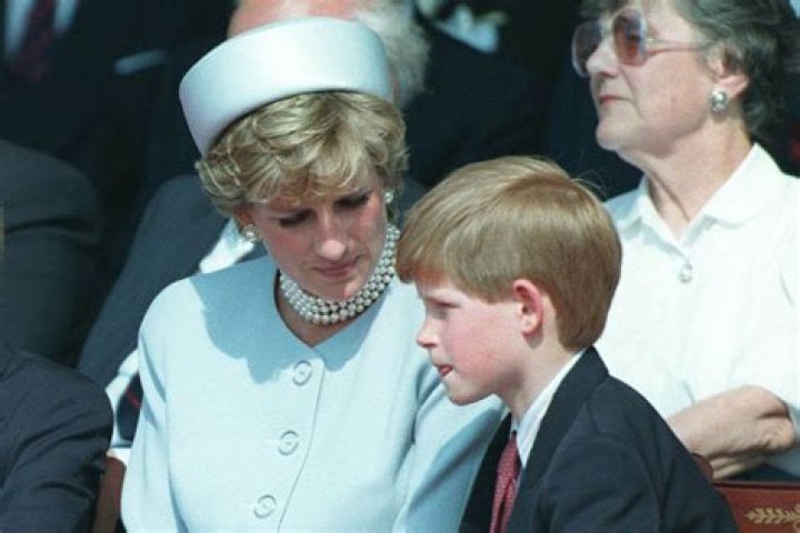 Diana and Prince Harry Both Struggled With This "Toxic" Force as Royals