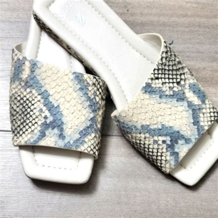 DSW Franco Sarto Birch Slide Sandal in Gold Metallic Snake Skin for $59.99 – Celeb Secrets