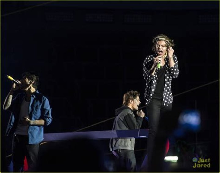 Harry Styles Gives Emotional Goodbye As ‘Love on Tour’ Ends Record-Breaking Run