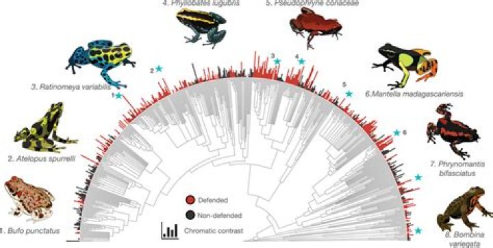Histoire de l'enfance de Rachel Daly et faits biographiques inchangés