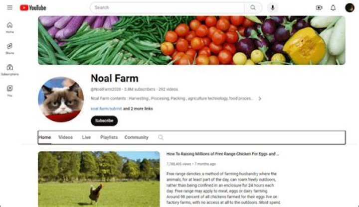 Noal Farm Youtuber overview
