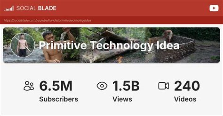 Primitive Technology Idea video statistics