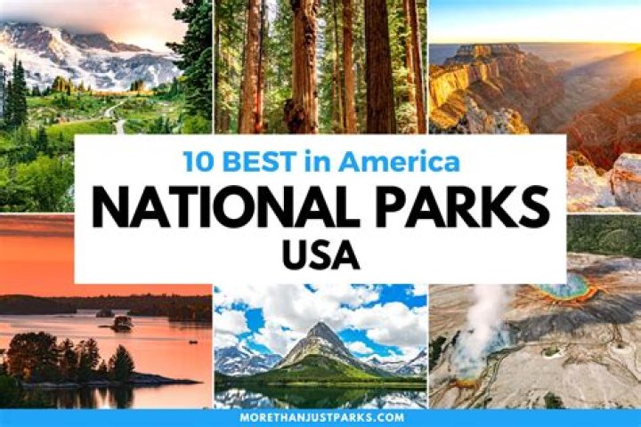 The 8 Best U.S. National Parks to See Wildlife