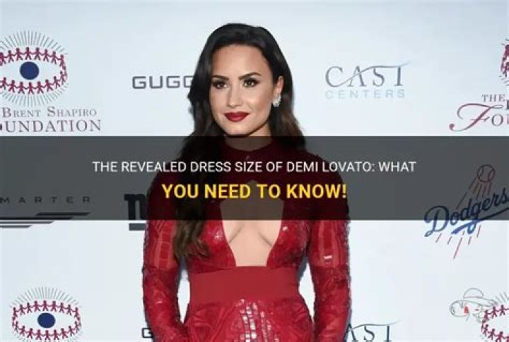 What Dress Size Is Demi Lovato?