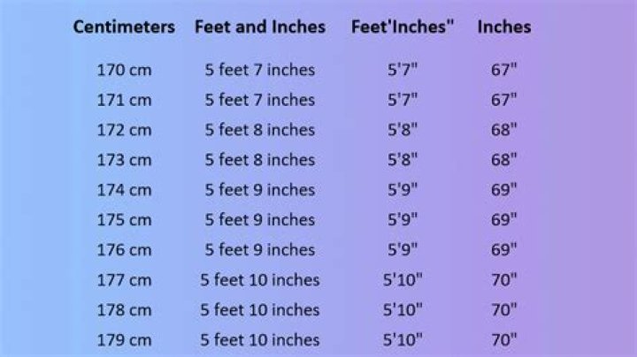What Is Lil Wayne’s Height In Feet And Inches?